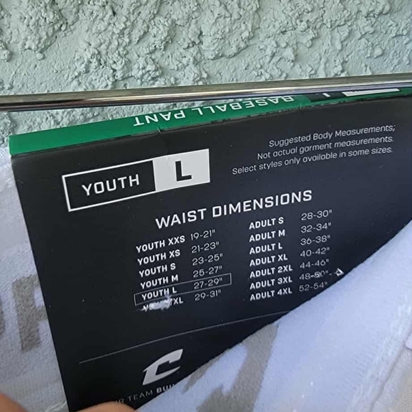 Bundle of Premium Baseball Pant (Size Youth L) and Performance Baseball Belt - Picture 6 of 7